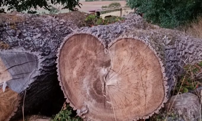 Mit dem Herzen sehen